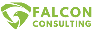 falconconsulting.pro